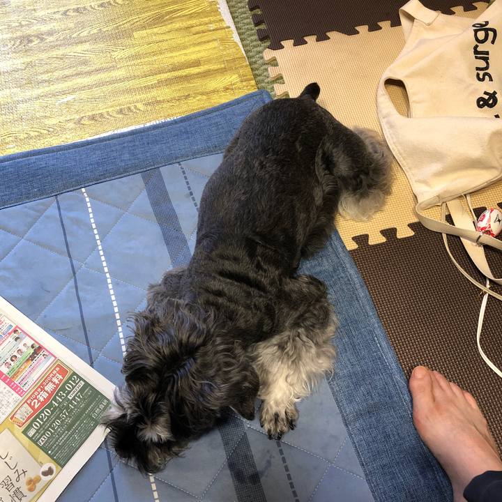 7522950a 8810 4b3f 8acd 4f94eec666b9 1688251559648