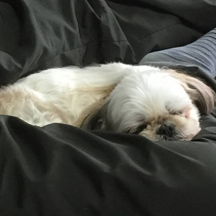 7522a06b 5b17 447c ba60 caca7e7a8acb 1514694543456