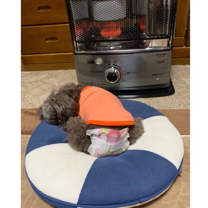 7522d6e9 df54 4b47 b072 f1b223d97723 1575927933160