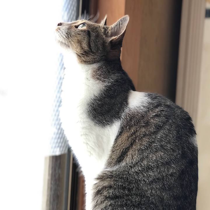 7522d953 0a96 4908 97f6 2d8c4411aa79 1526950596966