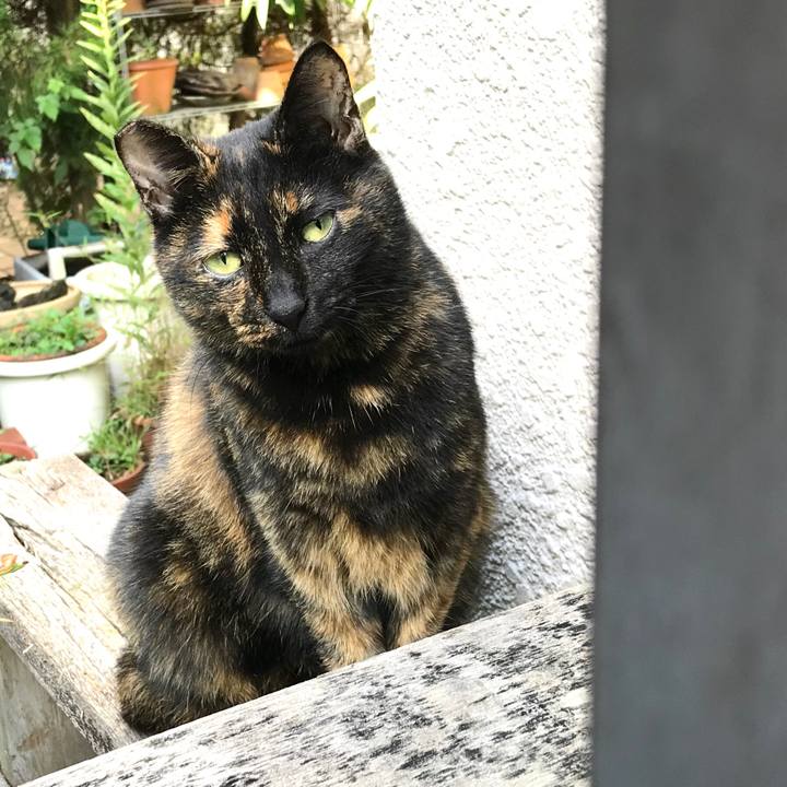 7522ffa0 681a 4f44 b03b 004df554be5c 1572227400790