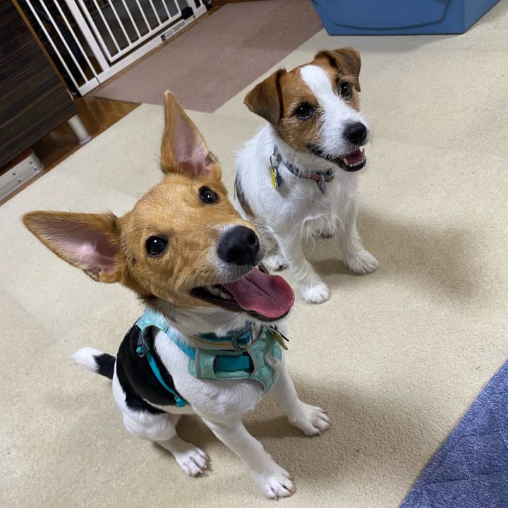 752313d3 c7c2 48c7 8ef9 3a578ce539ea 1755904045663