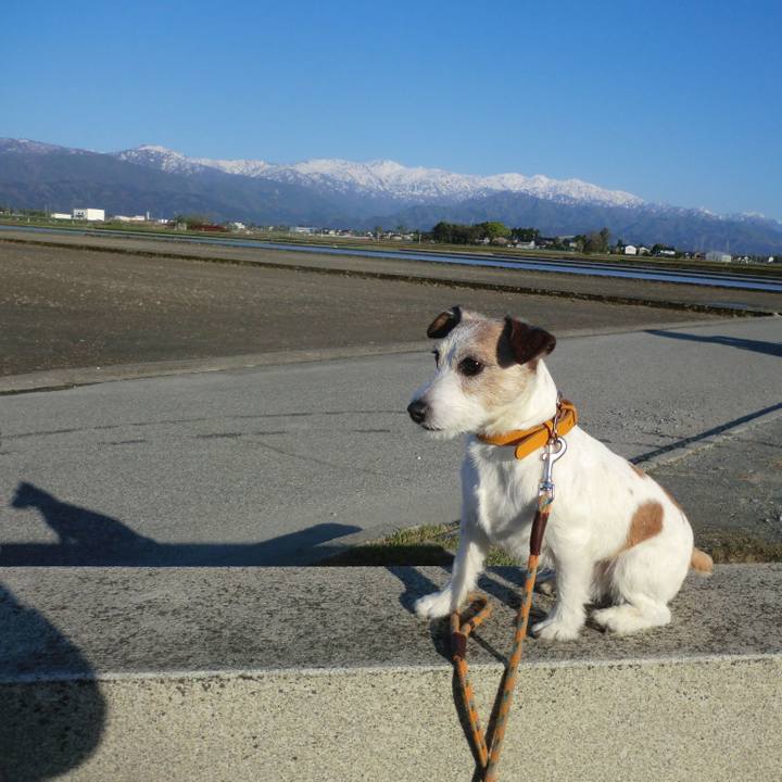 752361ae a0d6 40d5 9750 2edeb802c300 1556790208961