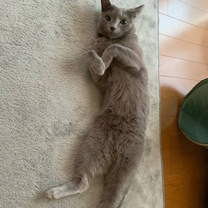 7523ac82 1dd8 4e4d b851 ebba461dc335 1659998399009