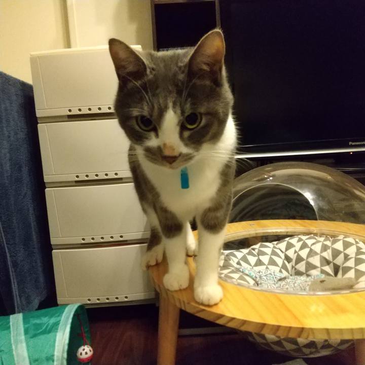 7523ddcb 9c64 4739 88a6 6d6fef6e90ab 1605216294202