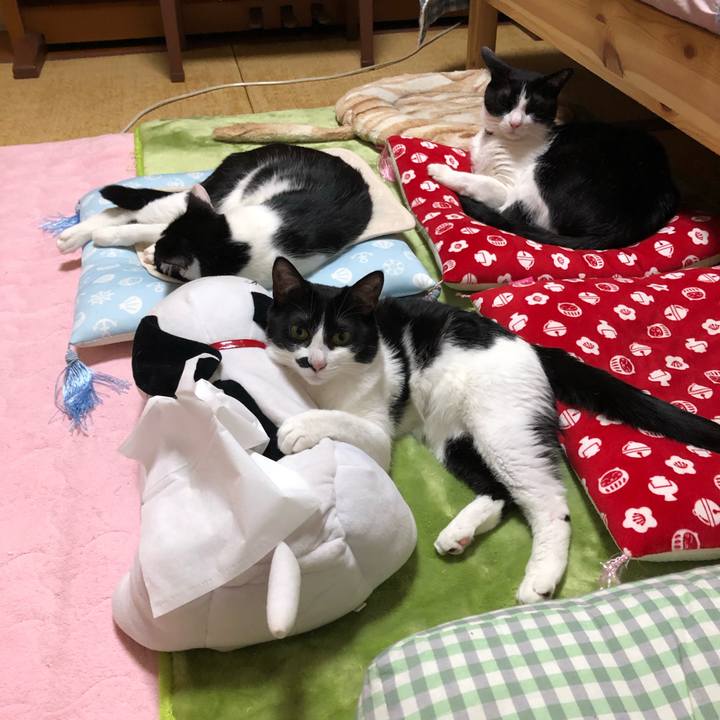 752444b4 8379 4d64 ae7b 81bc054ea66d 1584529144460