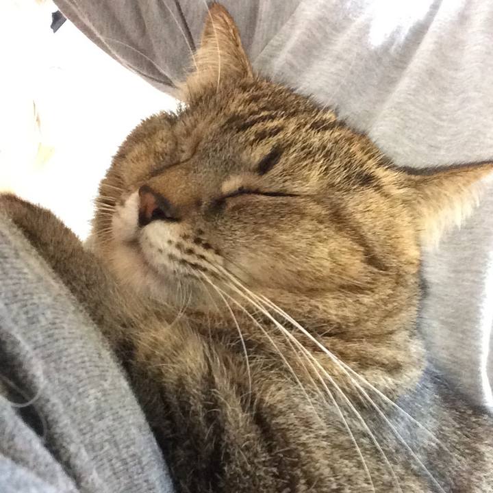 75244c2d 43dc 41cb b4ae 333ef42af660 1544838279580