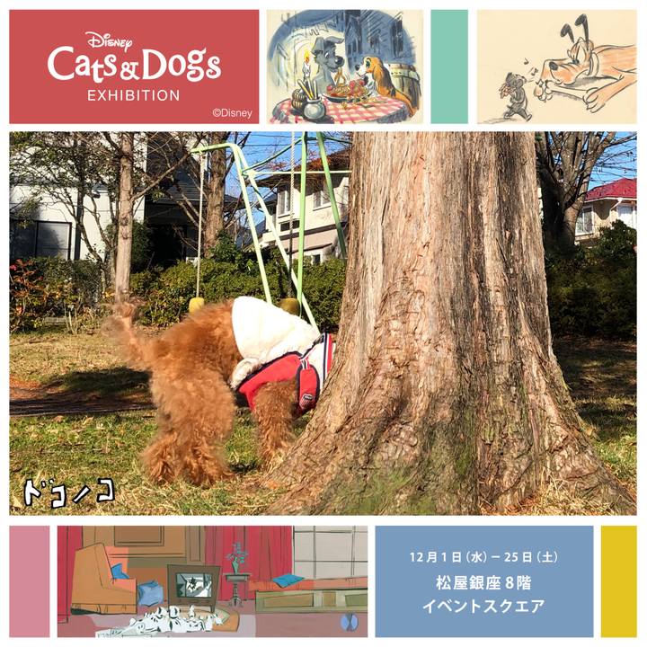 75244e2d ad96 4e4d 900a a08257abce2c 1638969726208