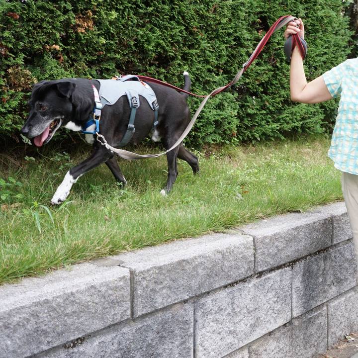 75246432 9afa 4146 a242 d986cd2cc621 1757894736179