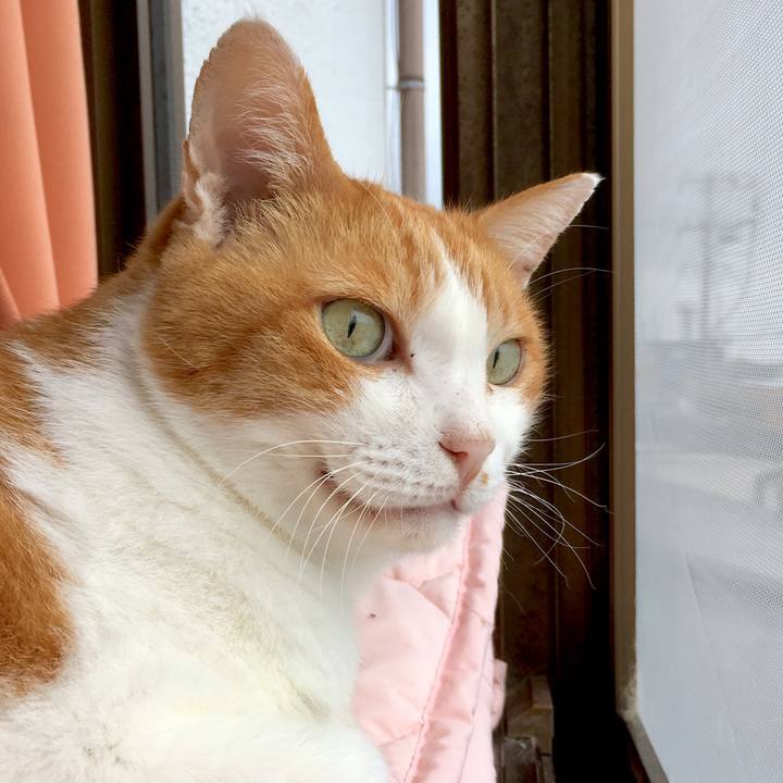 75248c44 9074 41b7 8d2f c8624b5e78d2 1570182757803