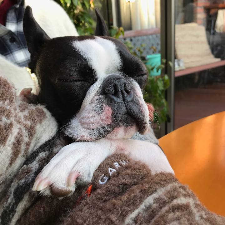 7524af9d 5137 4047 9bc8 20aebefd504b 1578281795298