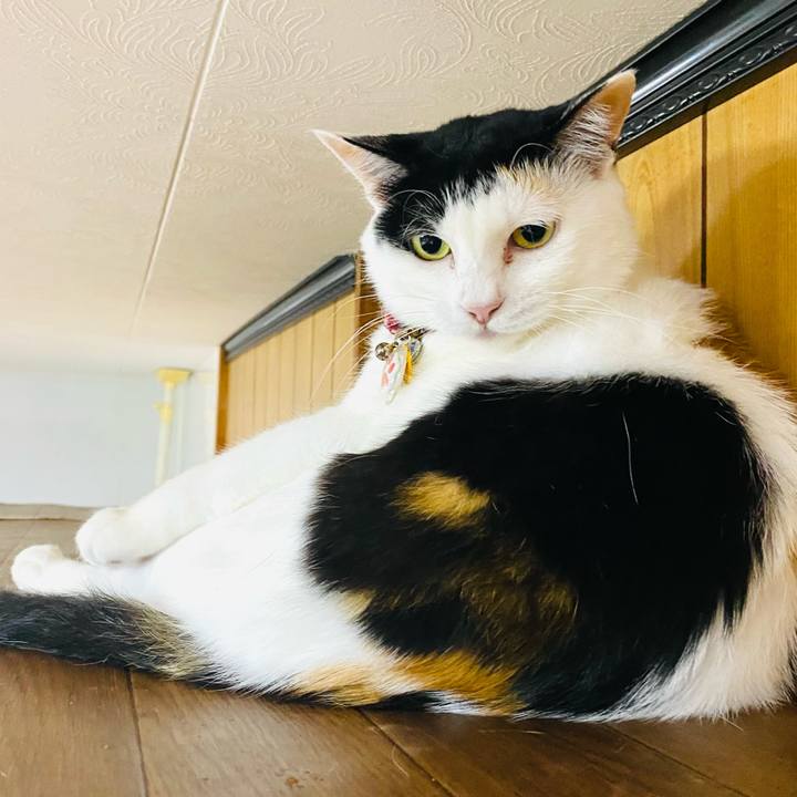 7524b904 45b6 4db7 ac92 dddce8636df6 1719872396740