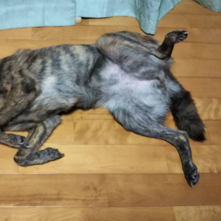 7524bcf2 6898 4b1a a847 c8f11a986134 1533987798937