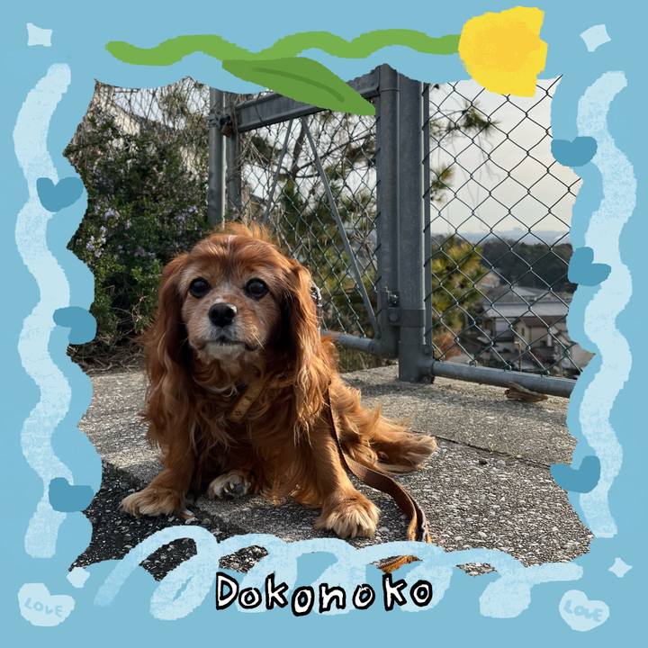 7524de74 e9c0 492f bfb1 5920153ebe0a 1772413766857