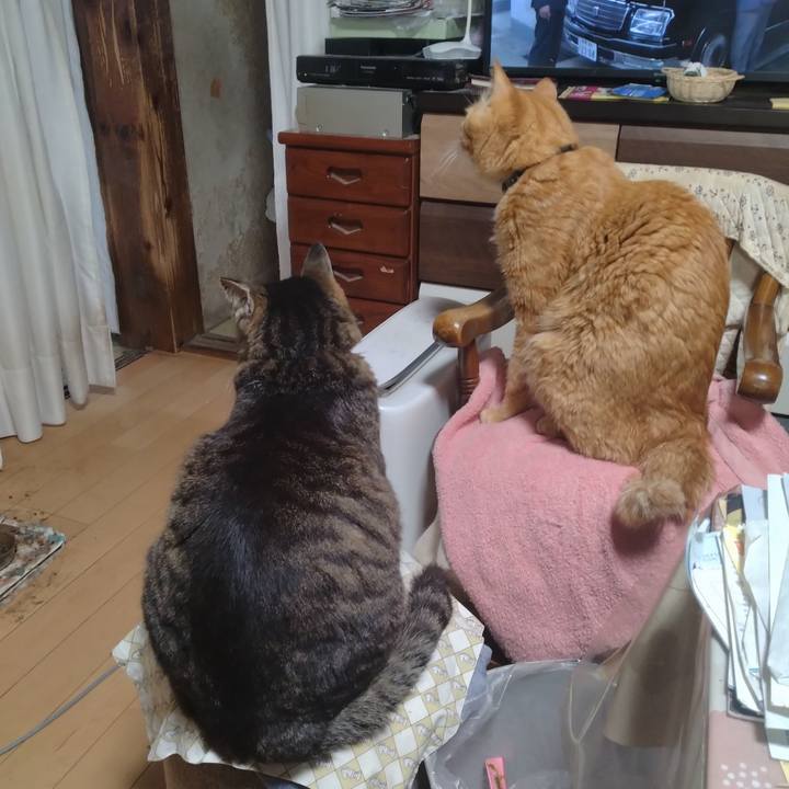 7524e53e cd49 4fc7 a2f8 c6199baa2ebe 1713949537619