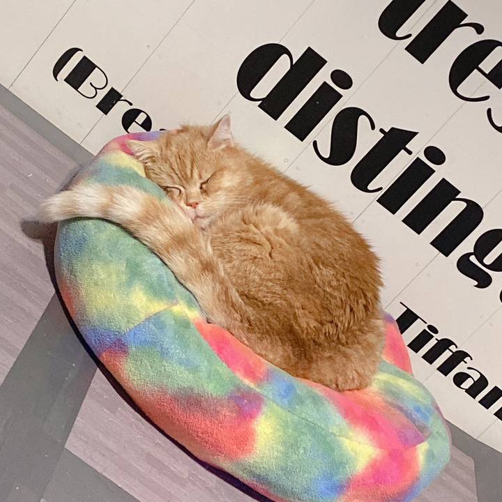 7524ead6 5ce8 4601 819e 74d33138fec9 1681647698111