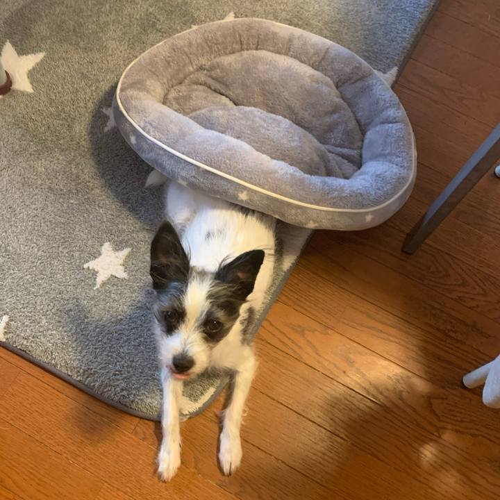 75251079 cae1 4e26 b498 d307b8e3baa4 1578718298263