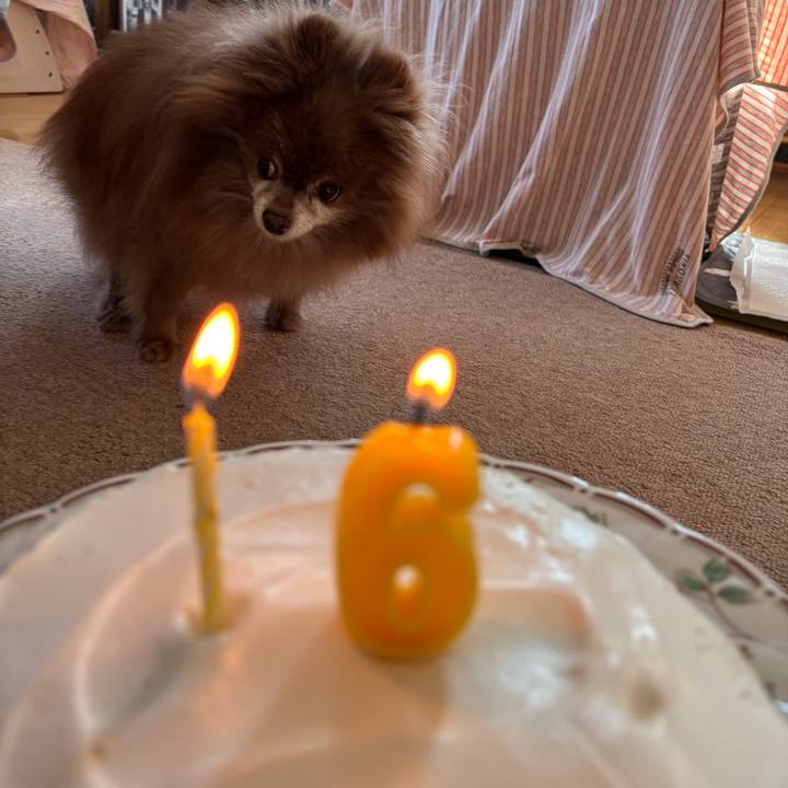 75251407 c9ff 4489 9ecb 40b0ca2f157a 1739254423423