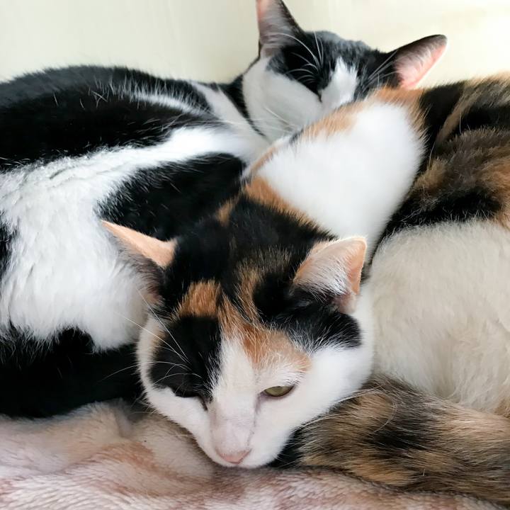 7525200e 8425 41fc a2df d75736398e17 1515595241546