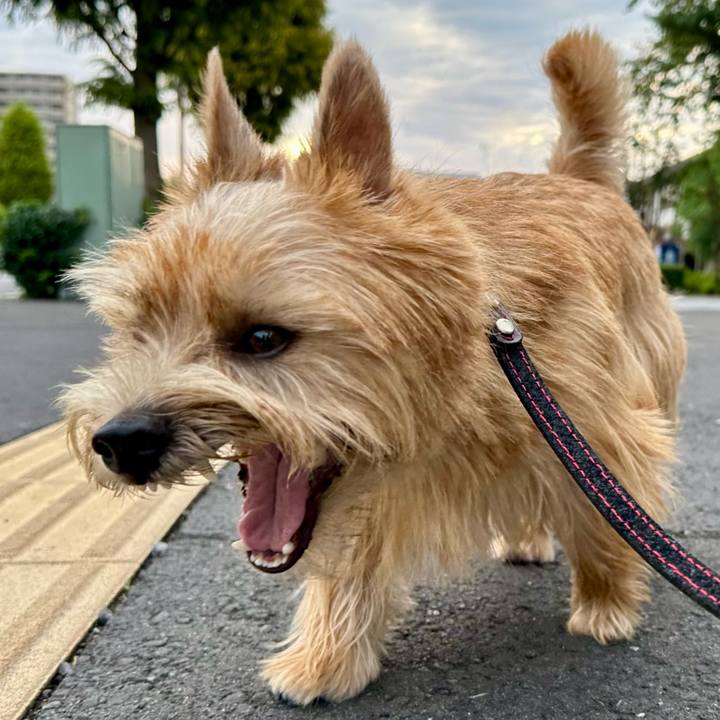 7525491e 4801 49c7 a582 254278fdf10e 1758625008924