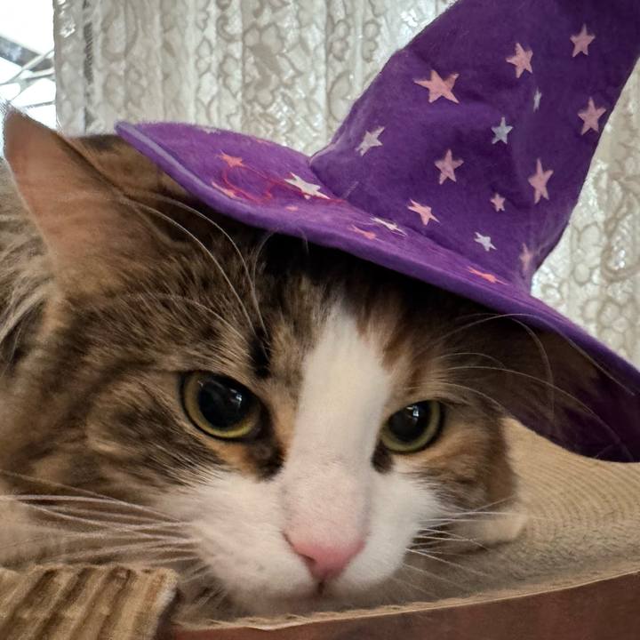 75255da2 1d63 4fdd 84aa 781ef27742e3 1761884102975