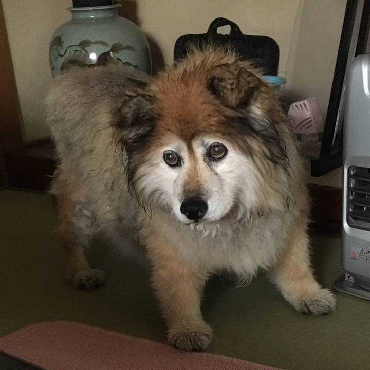 75258f48 3d44 44f1 ab4b cd3519d02047 1562481105676