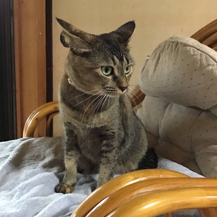 7525de08 e6eb 4dd1 ac49 e5c01fe74fd9 1628762434534