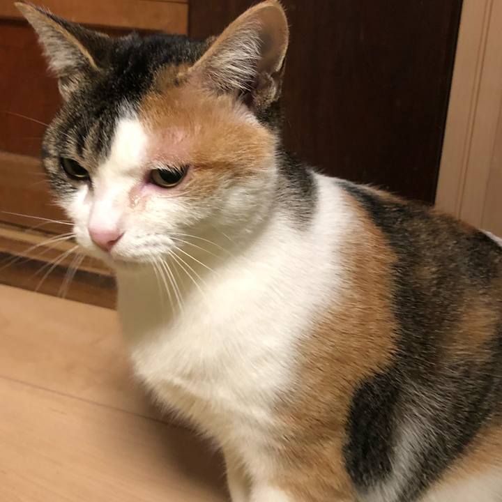 7525e5c8 df8a 421c 9f01 a869155df568 1578140965067