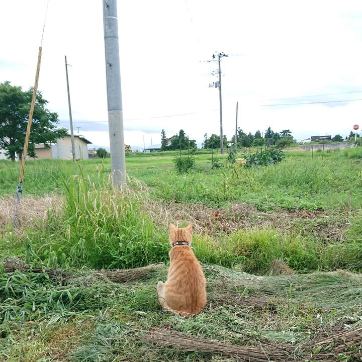 7525e977 dea3 4796 87e4 fc572e37d353 1595581305374