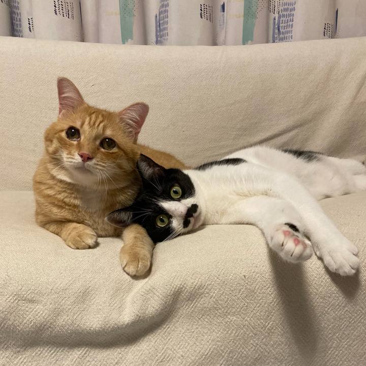 75261d73 1200 4ebe 9ba9 574bf91c24a1 1760367032338