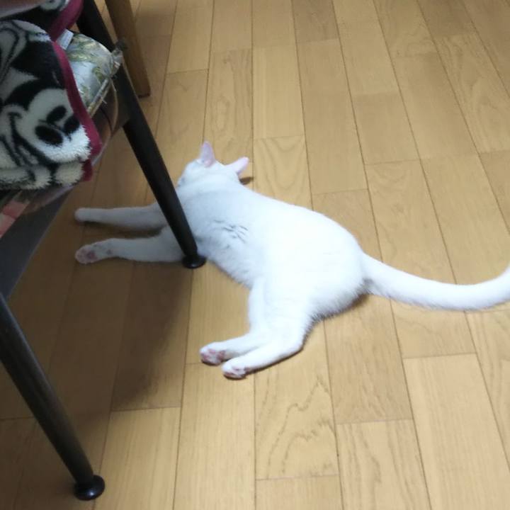 75263180 d677 42c1 a792 b45c8801b592 1628200787857