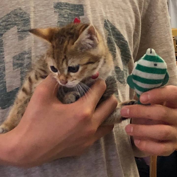 75265580 5073 4d7f 87ee 8d92b7322d74 1590911713045