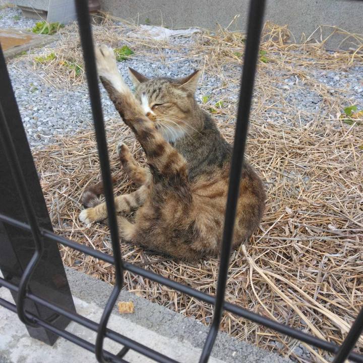 75265aa6 71cc 448a 9555 bd9887baa4f5 1708309978090