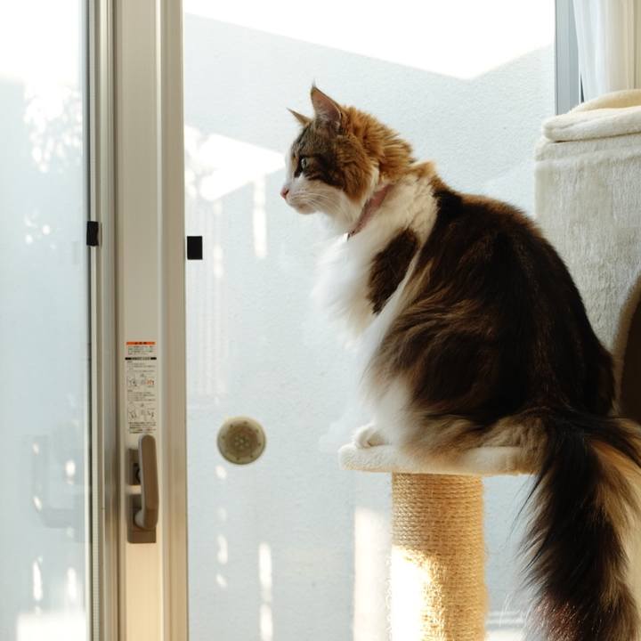 75266082 3794 4c8e 8931 c0dc7d5d13fe 1669035175443