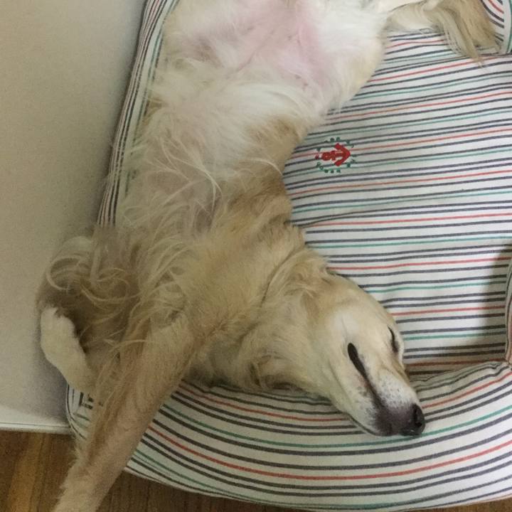 7526aec1 5bb6 4cd8 876a c70bee629159 1510574933513