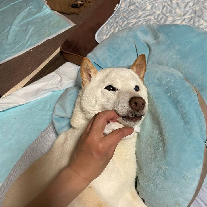 7526c1b8 d19f 4fce 8931 81971f438c3d 1654355844256