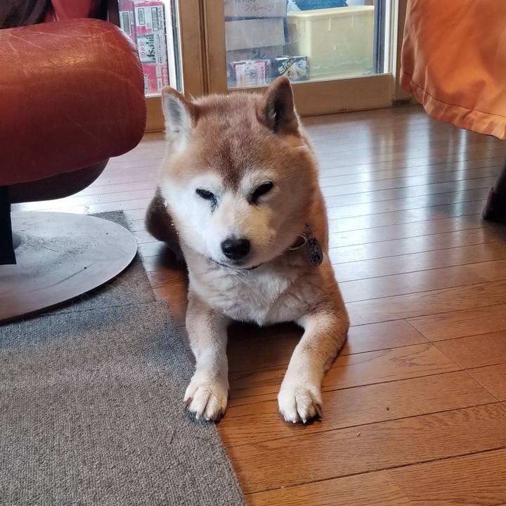 7526c97b 3a06 4ca8 be38 feca8f8e4d2e 1738712523863