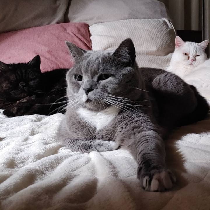 7526efbe ef8a 4858 a5c3 8a4ed0e41a68 1647957531588