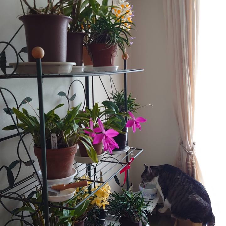 75270f4a 8cc2 438c 9d5b 640a01b8b41d 1676202744360