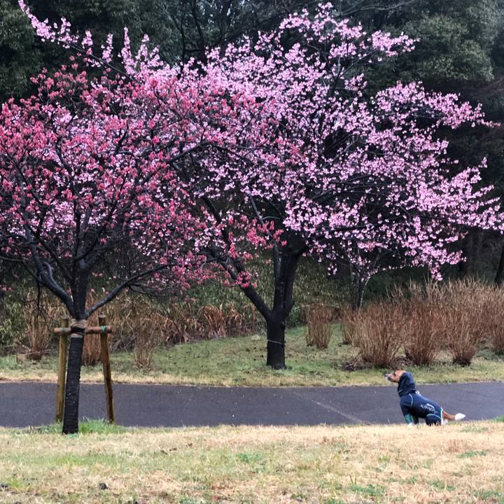 75273092 a2ed 4794 82e9 f28b702802d1 1551915073430