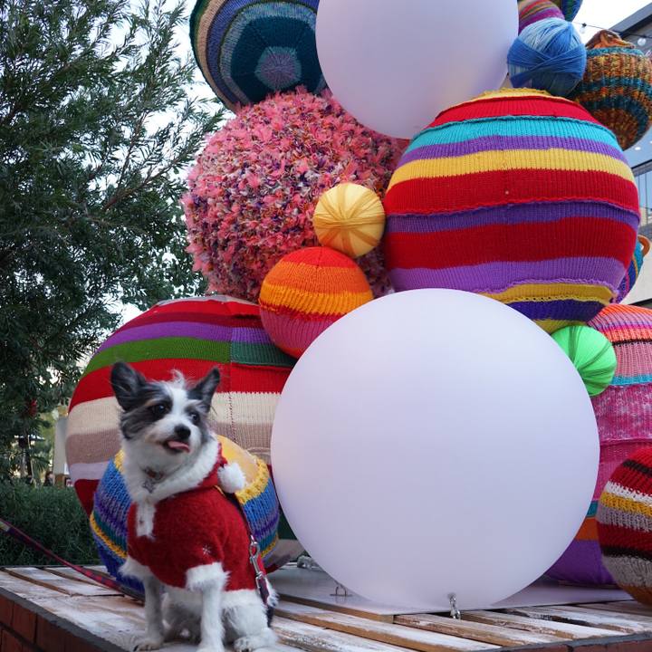 75273740 7769 42de 9f8b a2c073f8acd4 1701641972683