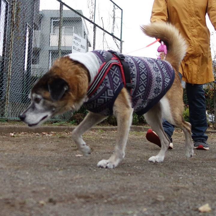 752743af 0736 4b70 a0a4 cab252bc9822 1575852597395