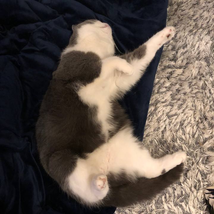 752770c4 bdfe 434d 8aab 16b8277b4985 1551929706921