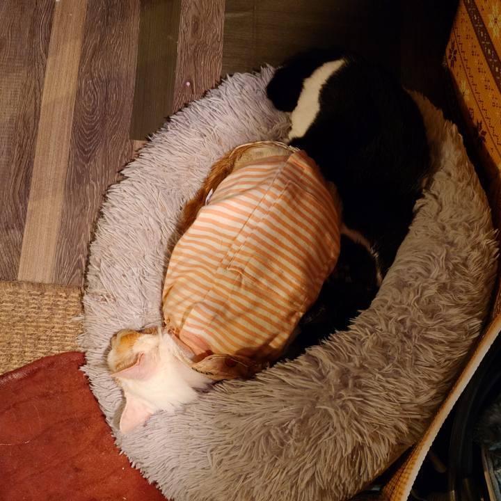 7527961f 5487 4a7d 996b 33522a0aa9d1 1769604643305