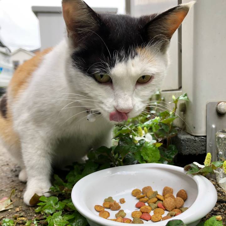 75279dcf 4f0f 42b3 80de edc4888f7668 1620858211119