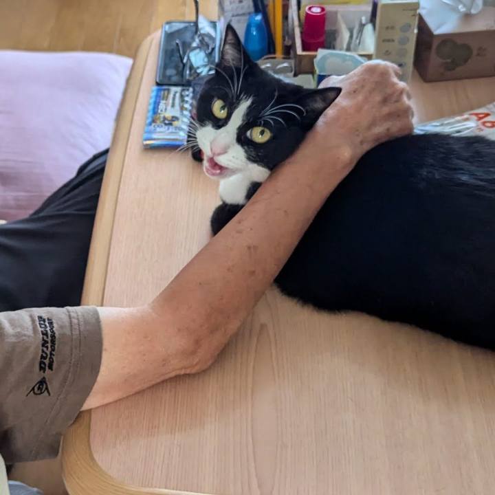 7527deff be57 489e b103 c8938f586624 1728620037559