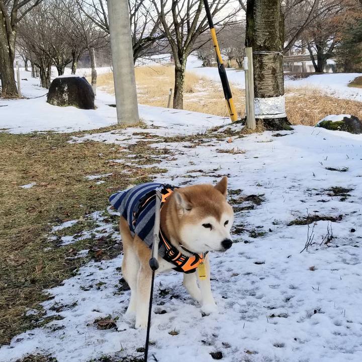 752838dd c4bc 4843 b2ee e315cdd5f5de 1638162260913