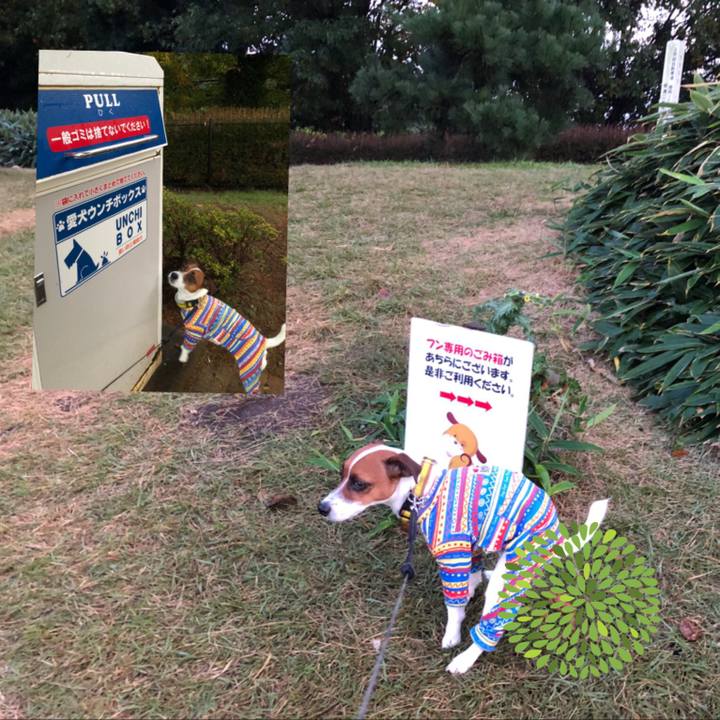 752876db 1598 41b2 93f5 c55d04c5ec9f 1573481527355