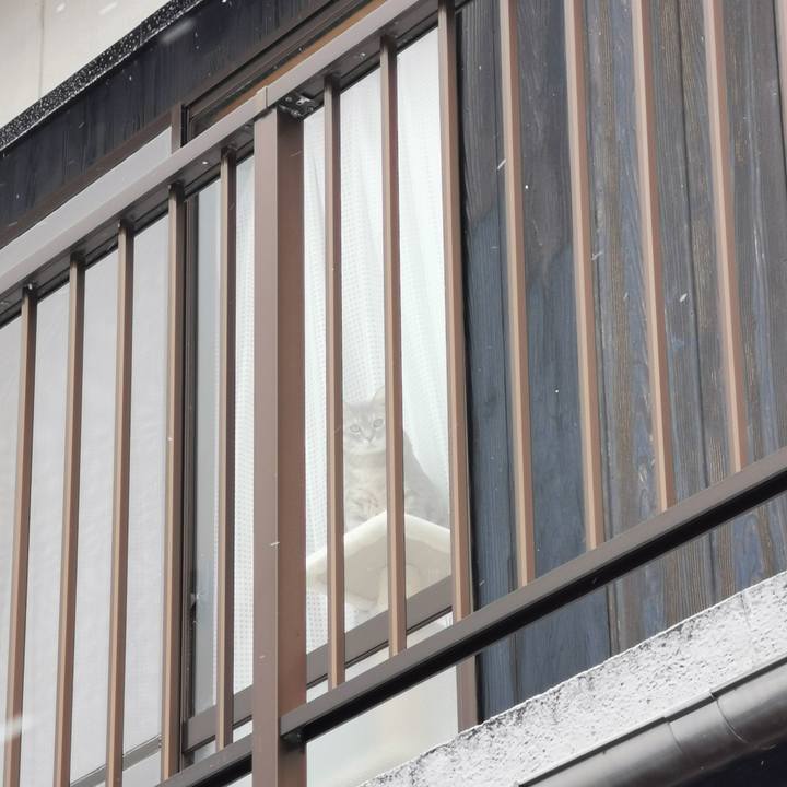 7528f432 653b 4faa aa0c 8ba13181425f 1674621804503