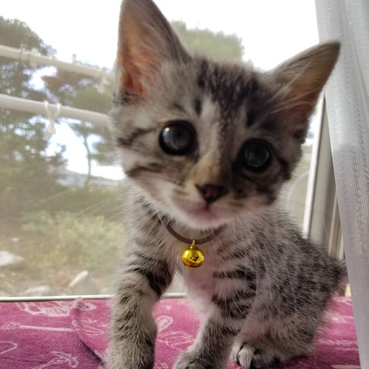 75291a06 ca43 4f57 bab0 dadd7464a987 1662207862354